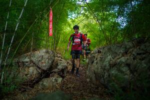 BIB: 
                            <button type="button" onclick="openModal(22089288)" class="btn btn-primary btn-sm float-right btn-popup" data-toggle="modal" data-target=".modal-high-quality">
                        <i class="fas fa-shopping-cart"></i> Add to Cart
                    </button>
                                            <button type="button" onclick="isThisMe(22089288, true)" class="btn btn-success btn-sm float-right btn-popup btn-isme hidden" data-toggle="tooltip" data-placement="bottom" title="นี่คือรูปของคุณใช่ไหม คลิกที่นี่เพื่อเอาเข้าอัลบั้ม">
                        <i class="fas fa-plus"></i> Add to album
                    </button>
                    <button type="button" onclick="isThisMe(22089288, false)" class="btn btn-warning btn-sm float-right btn-popup btn-isnotme hidden">
                        <i class="fas fa-ban"></i> Remove from album
                    </button>